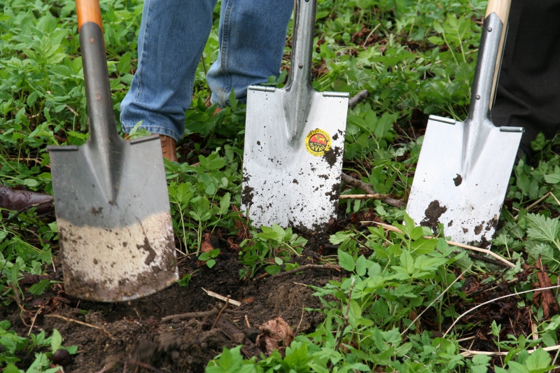 pepiniere-BERRE LES ALPES-min_work-lawn-flower-tool-green-backyard-1103633-pxhere.com